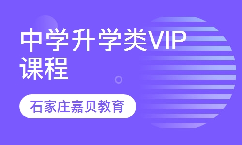 中学升学类VIP课程